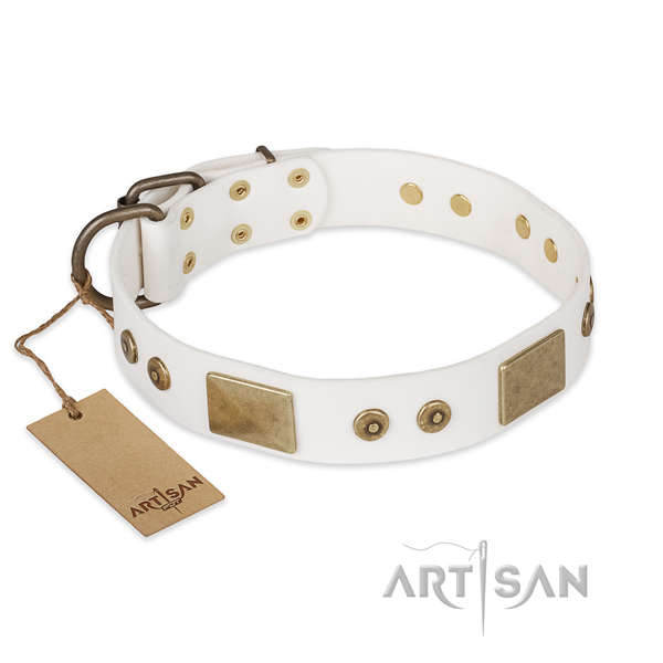 Exra wit halsband voor honden hondenhalsband