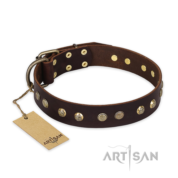 Prachtige hondenhalsband van leer met bronzen studs Prachtige hondenhalsband van leer met bronzen studs