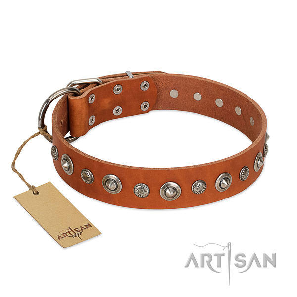 Leuke tan hondenhalsband echt leer Leuke tan hondenhalsband echt leer