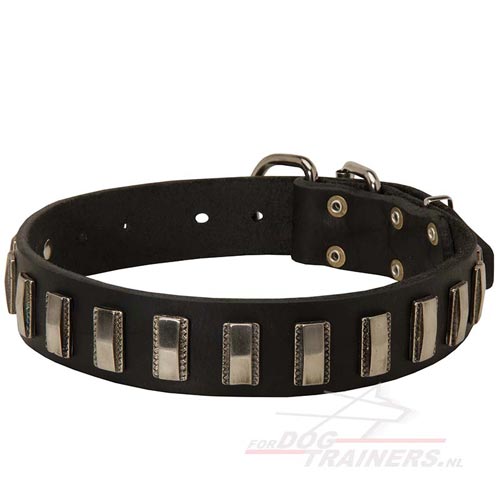 koelkast evenwichtig Lijkt op Stoere hondenhalsband | Indrukwekkende Design - €67.6