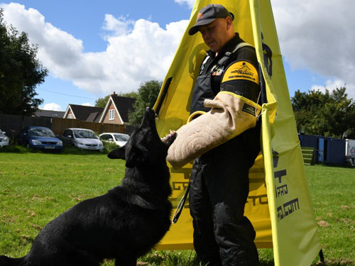 Nieuwe beschermende bijtmouw voor politie en militaire honden [ps200 plus PSC1]