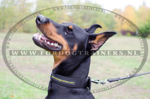 Durzame Nylon Halsband voor Dobermann - Klik op de afbeelding om het venster te sluiten