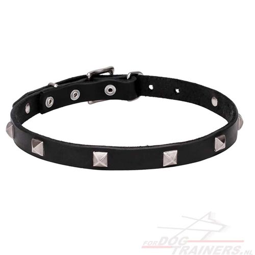 Leuke Leren Honden Halsband met Chromen studs - Klik op de afbeelding om het venster te sluiten