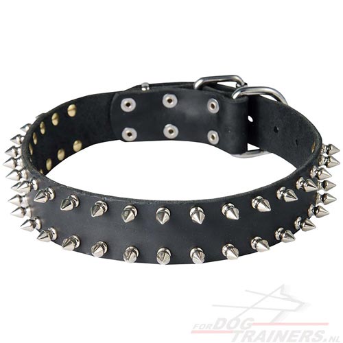 Stevige Leren Halsband met 2 Rijen van Vernikkelde Spikes - Klik op de afbeelding om het venster te sluiten