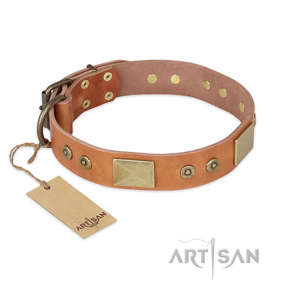 Tan lederen hondenhalsband Tan antrekkelijke hondenhalsband van leer met studs