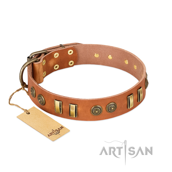 Beste stijlvolle hondenhalsband tan Beste stijlvolle hondenhalsband tan
