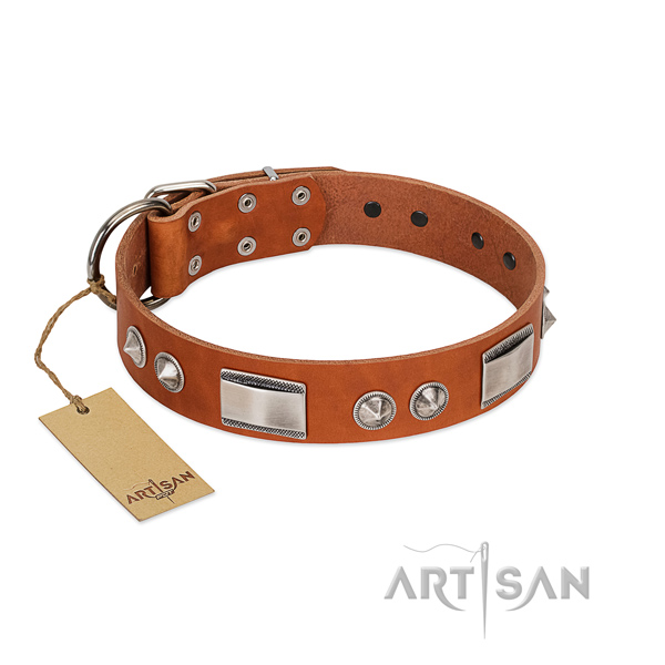 Leuke ontwerp leren hondenhalsband Leuke ontwerp leren hondenhalsband