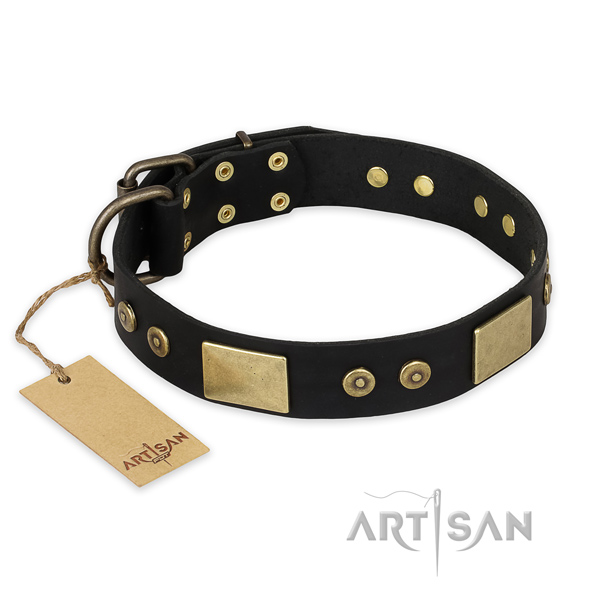 Zwart exclusieve design hondenhalsband