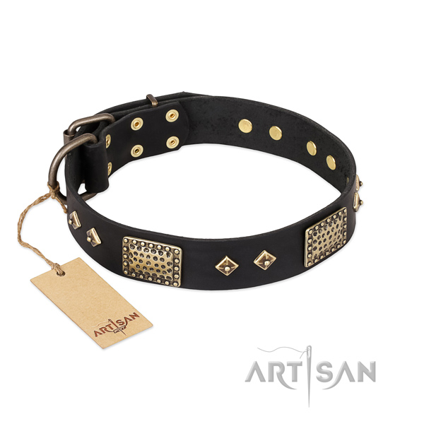 Charmante zwarte hondenhalsband FDT Artisan hondenhalsband