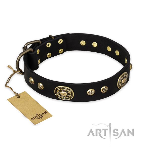 Zwarte hondenhalsband van leer met bronzen studs Zwarte hondenhalsband van leer met bronzen studs