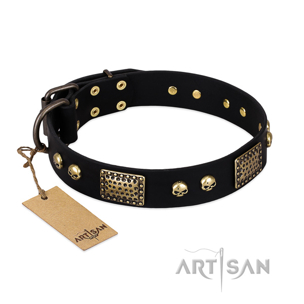 Zwarte Simpele design hondenhalsband