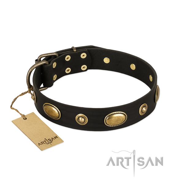 Charmante Zwarte hondenhalsband leer met studs FDT Artisan