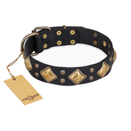 Zwarte halsband leer met studs