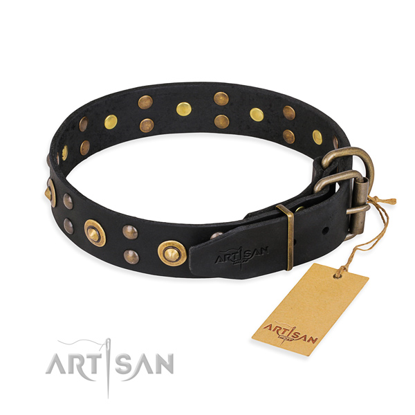 Halsband hond met verschroomde decoraties