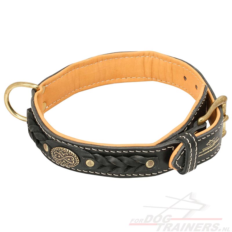Exclusieve Nappa Halsband voor Thai Ridgeback Halsband ThaiRidgeback] - €91.4 : Hondenwinkel met breide keuze muilkorven, tuigen en halsbanden!