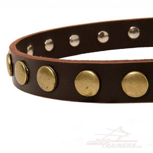 Leren halsband strak met ronde messing sieraden, elegant - Klik op de afbeelding om het venster te sluiten