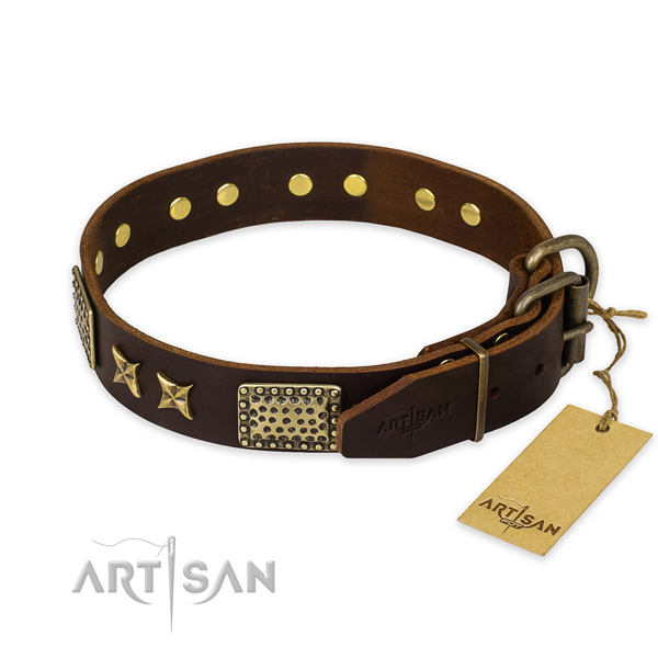 Hondenhalsband bruine van leer met studs