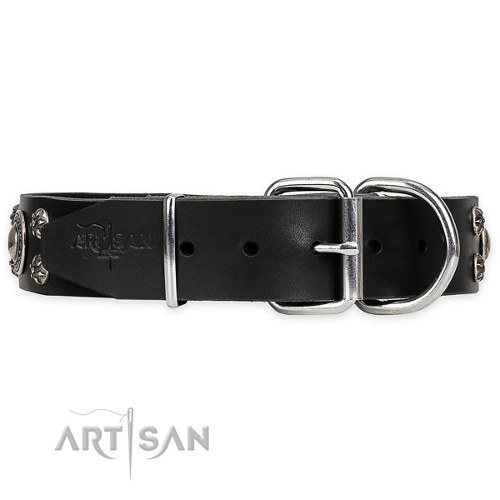 Lederen Honden Halsband met Sterke
Hardware