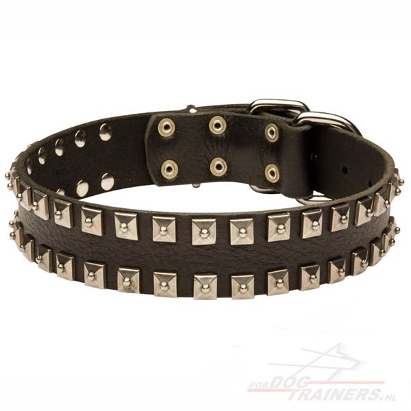 Hondenhalsband gemaakt van leer met nikkel klinknagels Hondenhalsband gemaakt van leer met nikkel klinknagels