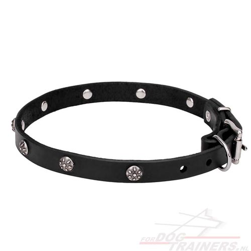 Lederen honden halsband Dog Collar 