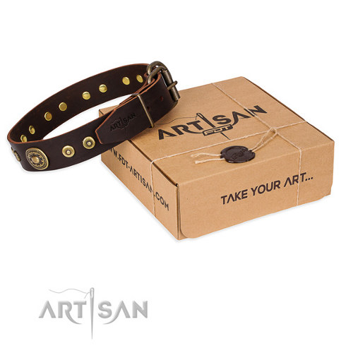 Black Studded Leather Dog Collar Artisan