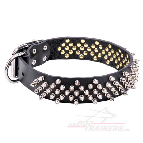 Leren Hondenhalsband met Spikes handgemaakt