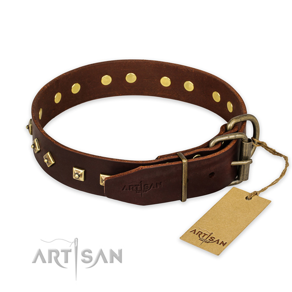 Hondenhalsband Bruine van leer met studs