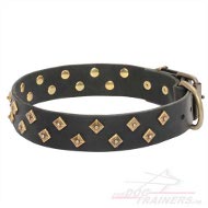 Hondenhalsband van leer met Messing Piramides Hondenhalsband van leer met Messing Piramides
