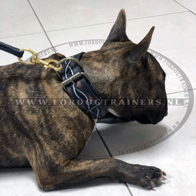 Leren Halsband met Prikkeldraad Print voor Bullterrier