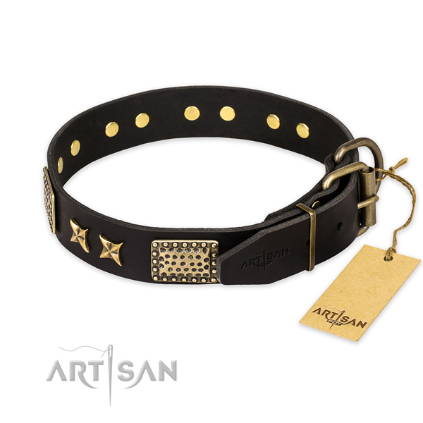 Hondenhalsband zwart van leer met studs