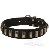 Schitterende leren halsband voor hond met Platen