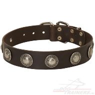 Trendy Halsband met Conchos