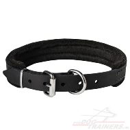 Leren halsband opgevuld met dikke vilt (breedte 25 mm)