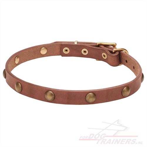 Versierde Lederen Honden Halsband