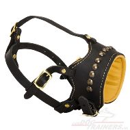 Leren muilkorf, best gedecoreerd met knoppen van geelkoper [M64##1106 Leather Muzzle Soft P]