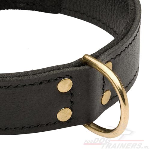 Honden Halsband leer