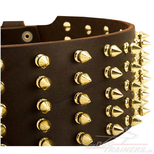 Luxe Halsband met Spikes 