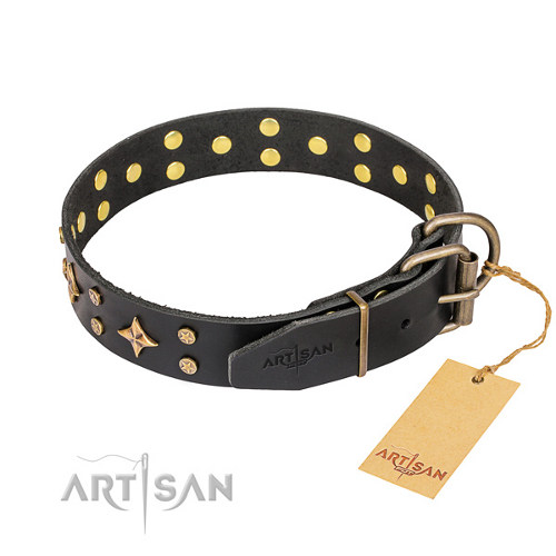 Handmade Hondenhalsband voor wandelen en trainen