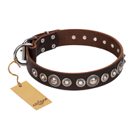 Versierd Bruin Honden halsband van leer