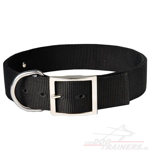 Superbe hondenhalsband van nylon voor actieve honden