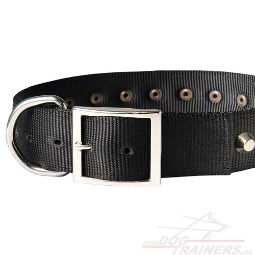 Nylon halsband voor honden | Accessoires van hoge kwaliteit