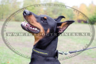 Durzame Nylon Halsband voor Dobermann