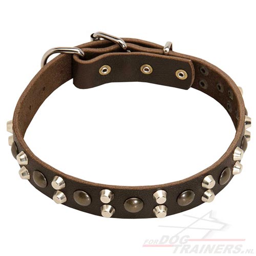 Prachtige leren halsband voor actieve honden