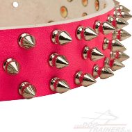 Roze Halsband met Geweldige Spikes