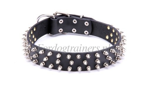 Ingenaaide hondenhalsband met 2 lagen van nylon
| Handig item