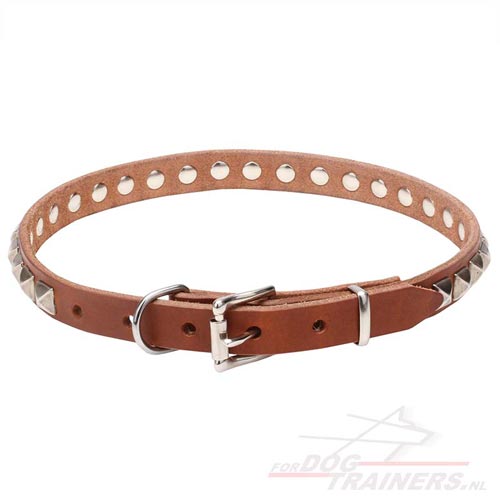 Versierde Lederen Honden Halsband