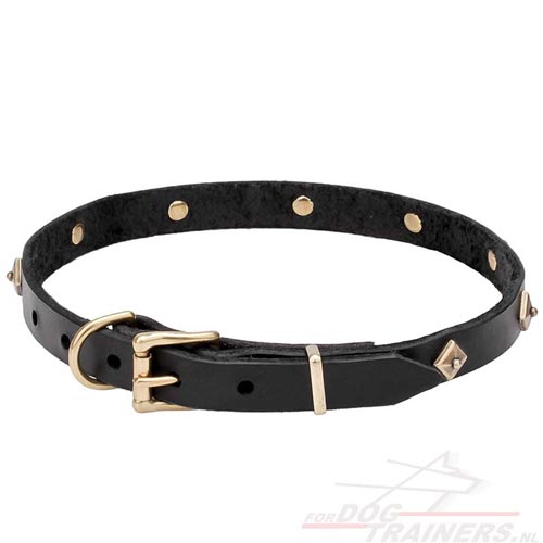 Dog Collar Leather Decorated with Round Rivets