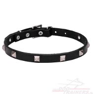 Leuke Leren Honden Halsband met Chromen studs