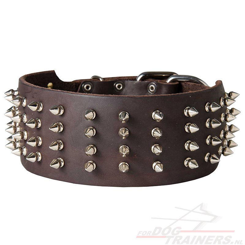 Beg been overzee Brede Spikes Halsband|Hondenalsband leer met studs Spikes Honden Halsband  [S99##1106 Brede Spikes Halsband] - €79.0 : Hondenwinkel met breide keuze  van muilkorven, tuigen en halsbanden!