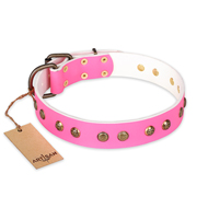 Mooie roze halsband hond